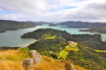 NICOLAS AMOROSO NICOLAS AMOROSO