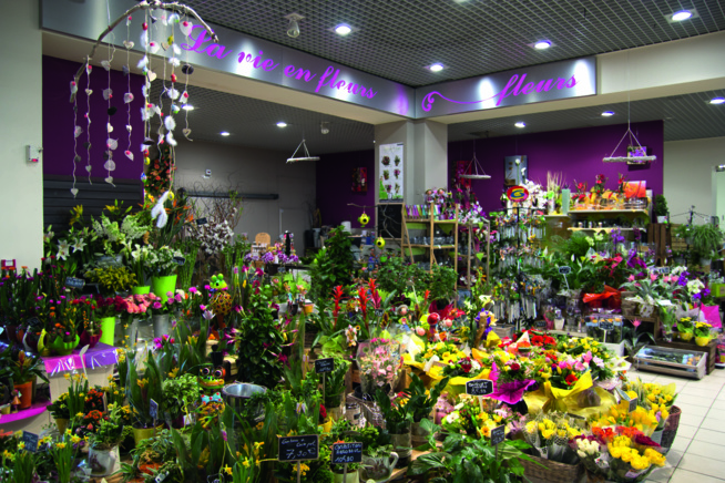 La vie en fleurs