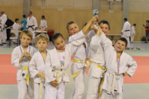 Judokan volxien Judokan volxien