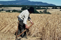 16e Fête des moissons 16e Fête des moissons