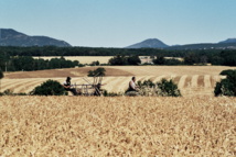 16e Fête des moissons 16e Fête des moissons