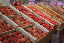 Couleurs paysannes Couleurs paysannes