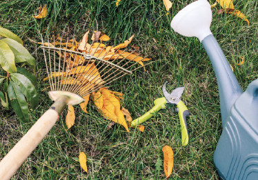 LES CONSEILS DE NATURE ET PAYSAGE POUR PRÉPARER SON JARDIN À L'ARRIVÉE DE L'AUTOMNE