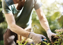 LES CONSEILS DE NATURE ET PAYSAGE POUR PRÉPARER SON JARDIN À L'ARRIVÉE DE L'AUTOMNE LES CONSEILS DE NATURE ET PAYSAGE POUR PRÉPARER SON JARDIN À L'ARRIVÉE DE L'AUTOMNE