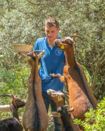 FÊTE DE LA CHÈVRE ET DU TARISSEMENT 1ÈRE ÉDITION LE 6 NOVEMBRE FÊTE DE LA CHÈVRE ET DU TARISSEMENT 1ÈRE ÉDITION LE 6 NOVEMBRE