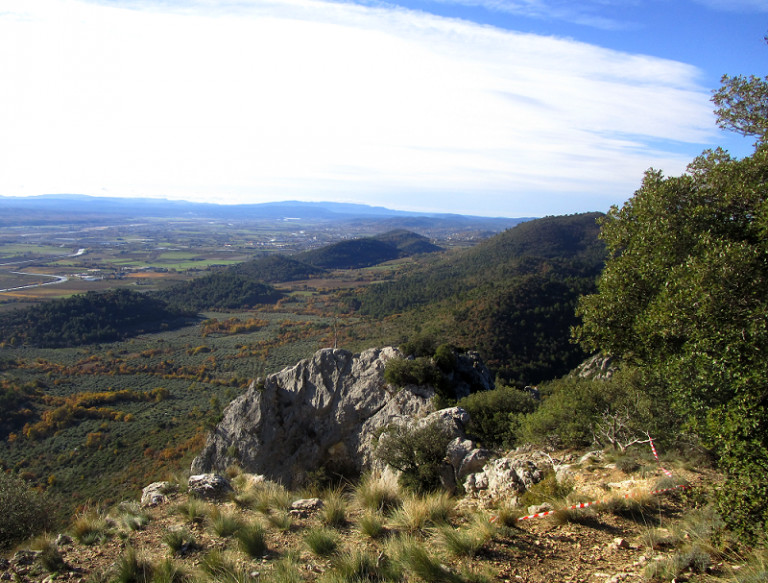 PRÊT POUR LE TRAIL DES COLLINES DE GIONO ?  C'EST LE 27 NOVEMBRE !