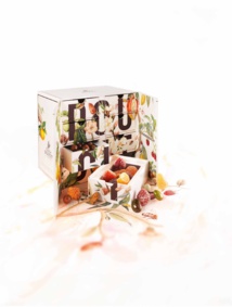 UN NOËL GOURMAND AVEC FRANÇOIS DOUCET CONFISEUR UN NOËL GOURMAND AVEC FRANÇOIS DOUCET CONFISEUR
