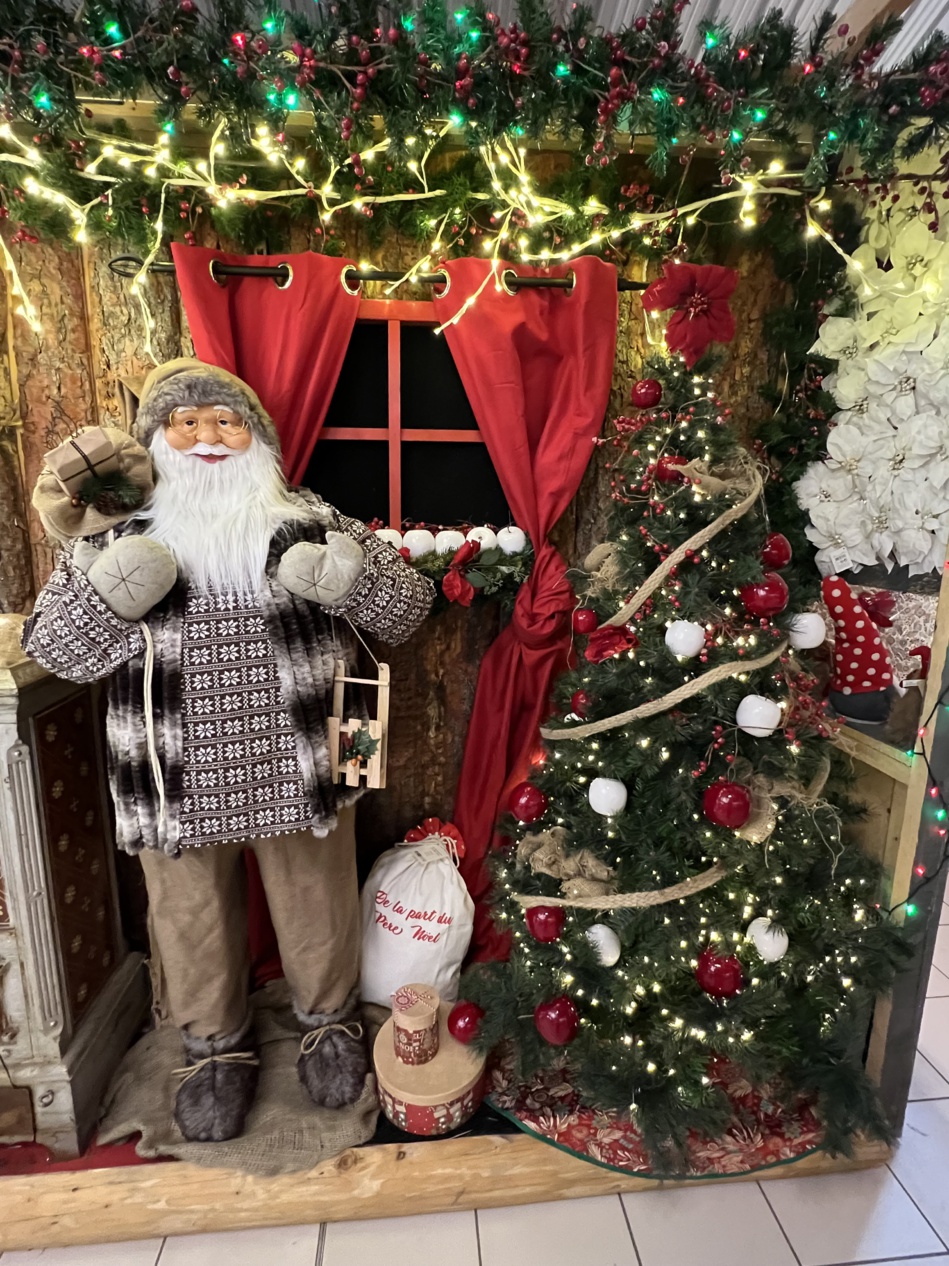 PARTAGEZ LES SECRETS DE NOËL CHEZ BOTANIC MANOSQUE !