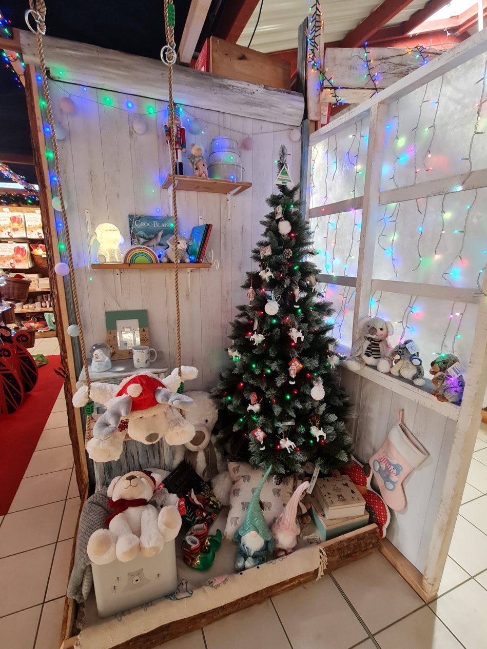 PARTAGEZ LES SECRETS DE NOËL CHEZ BOTANIC MANOSQUE !