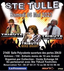 LES SOSIES SONT DE RETOUR  à PIERREVERT ET À SAINTE TULLE en avril et en mai !