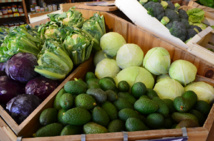 Biocoop nouvelle enseigne 100 % bio ouvre ses portes à la brillanne ! Biocoop nouvelle enseigne 100 % bio ouvre ses portes à la brillanne !