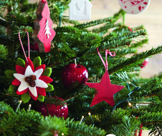 Robin Jardins Botanic à Manosque Robin Jardins Botanic à Manosque