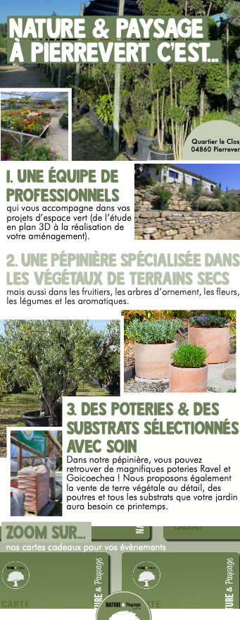 Les plantes méditerranéennes sont chez Nature & Paysage