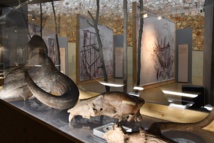 Musée de préhistoire Salagon, deux lieux, deux ambiances...