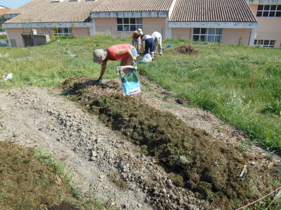 Le Cabanon, jardin solidaire Le Cabanon, jardin solidaire