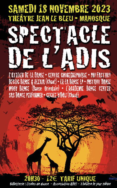 Éclairons l’Avenir : Électrification, Éducation et Solidarité avec l’ADIS Éclairons l’Avenir : Électrification, Éducation et Solidarité avec l’ADIS