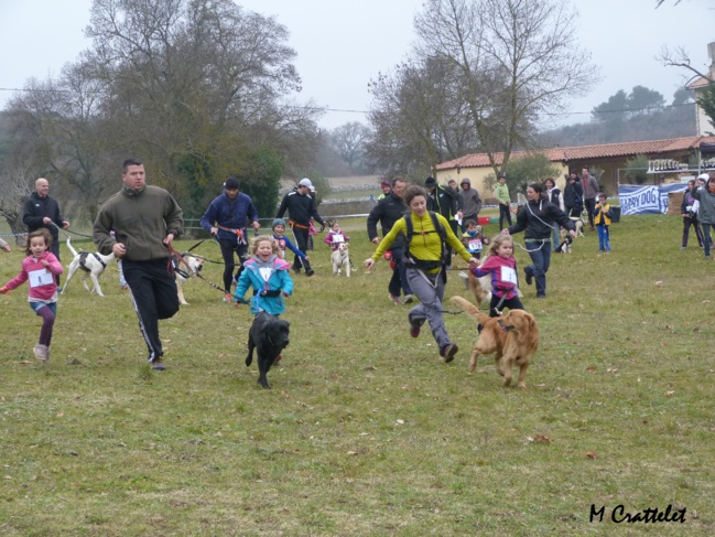 1er Canicross des collines du pays manosquin.