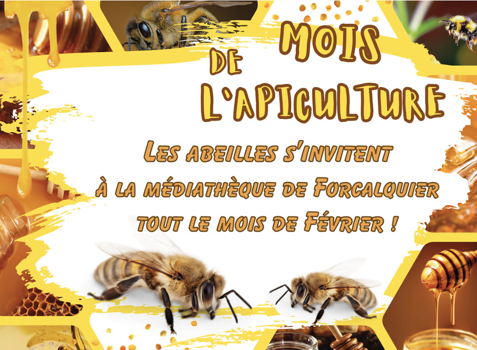 Activités et animations pour le Mois de l'Apiculture à la médiathèque de Forcalquier.