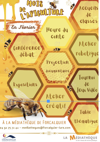 Activités et animations pour le Mois de l'Apiculture à la médiathèque de Forcalquier.