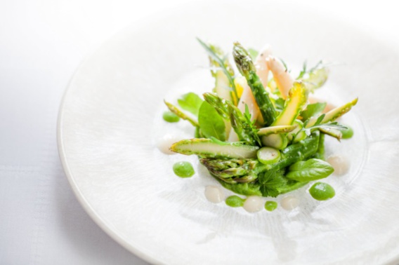 1re fête de la Gastronomie à Moustiers 1re fête de la Gastronomie à Moustiers