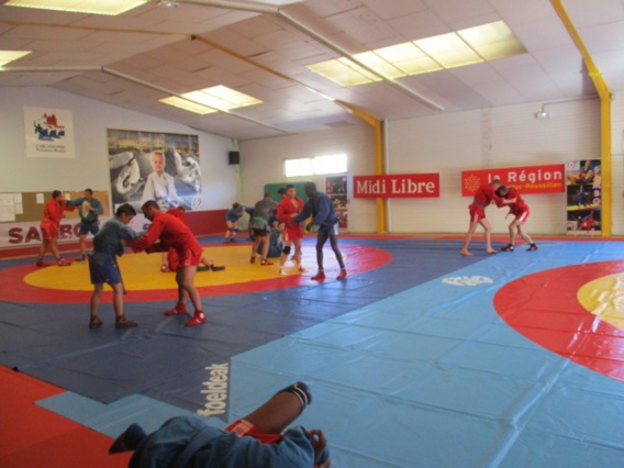 Le sambo en plein essor Le sambo en plein essor