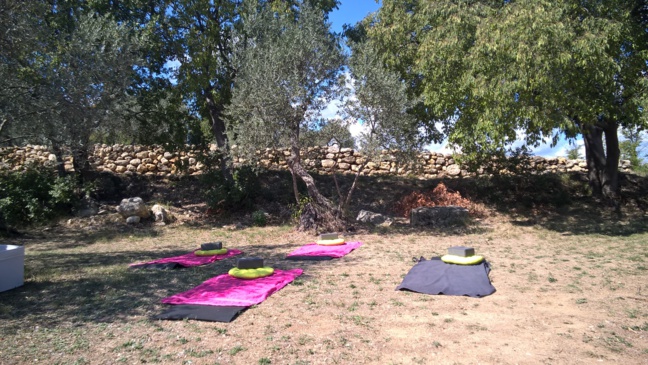 Diet & Fit Diet & Fit