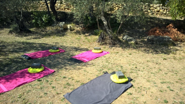 Diet & Fit Diet & Fit