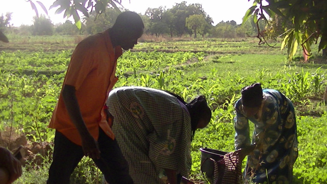 L’ADIS fait son show L’ADIS fait son show