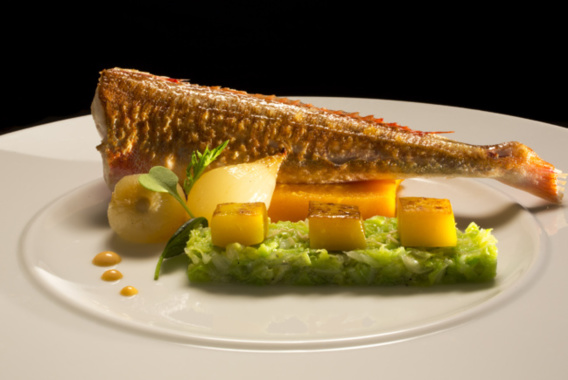 Votre réveillon de la Saint-Sylvestre au Domaine des Sources Votre réveillon de la Saint-Sylvestre au Domaine des Sources