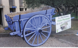 La Brillanne en Fête : 27e Édition, Le Marché des  Saveurs et Savoir-faire !