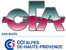 CFA de la CCIT aller plus loin ensemble CFA de la CCIT aller plus loin ensemble