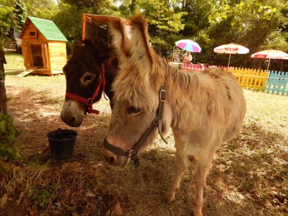 La Brillanne fête nos traditions La Brillanne fête nos traditions