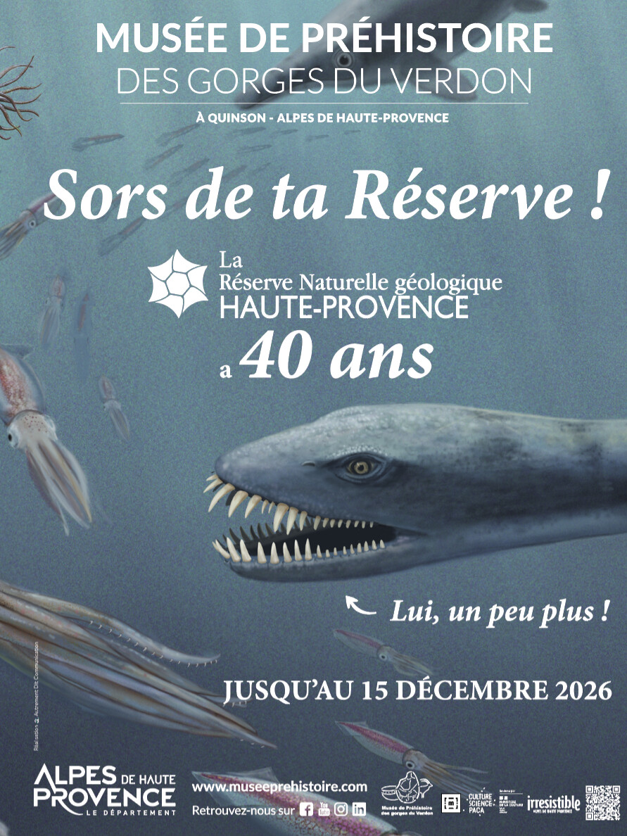 Printemps en Haute-Provence : Le Temps des Initiations