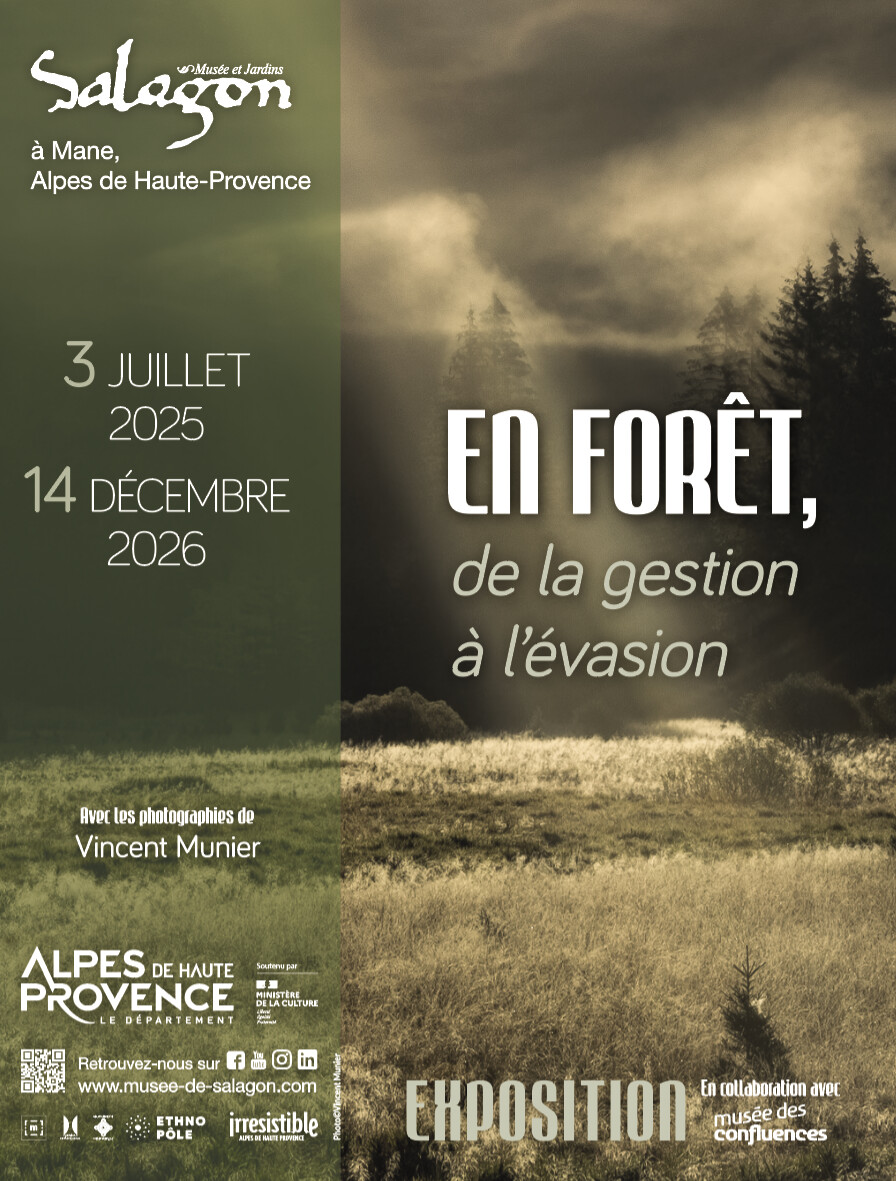 Printemps en Haute-Provence : Le Temps des Initiations