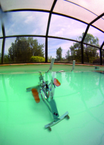 Aquagym and Bike Pierrevert Aquagym and Bike Pierrevert