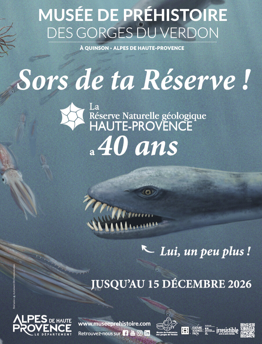 Mai dans les Musées Départementaux : Un Printemps entre Nature et Histoire