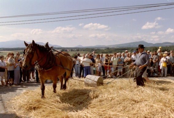 18e fête des Moissons