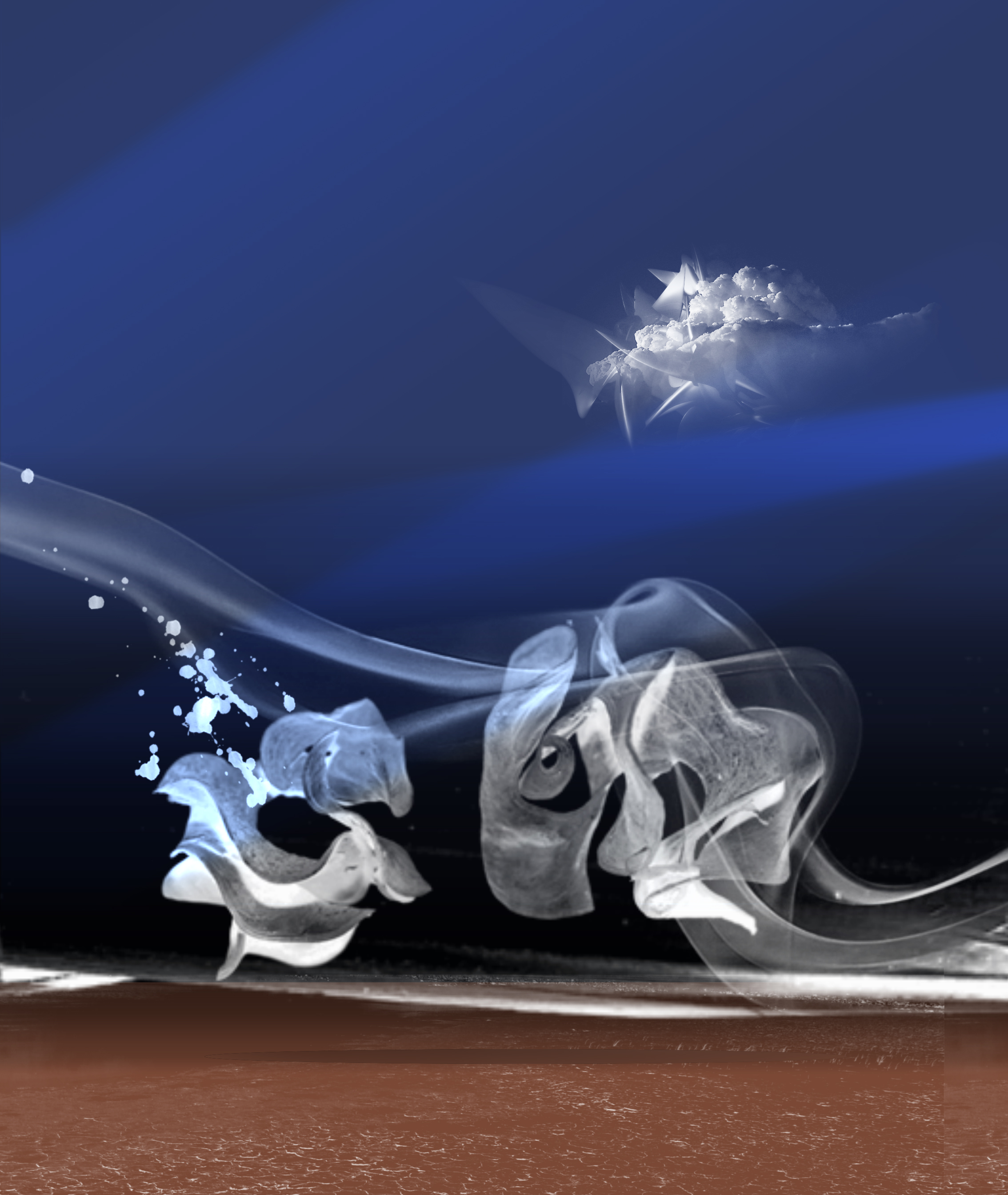 Erwan Marolleau, pionnier de l’art numérique Erwan Marolleau, pionnier de l’art numérique