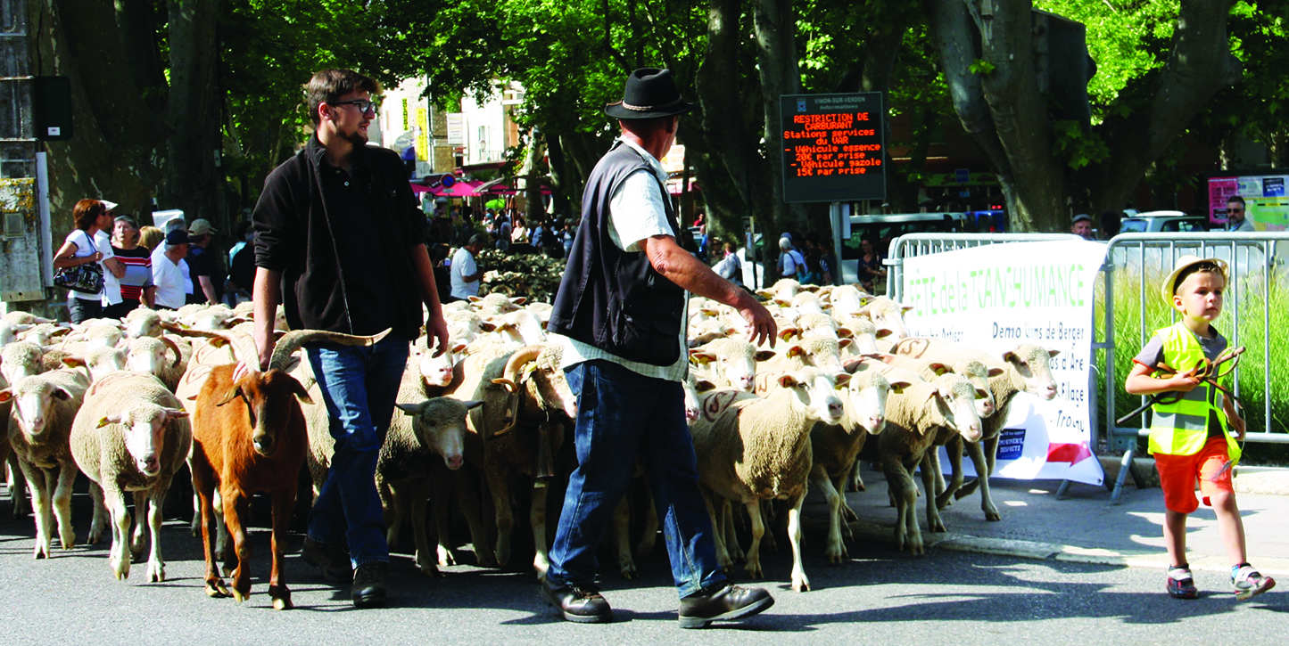 Fête de la Transhumance 2018