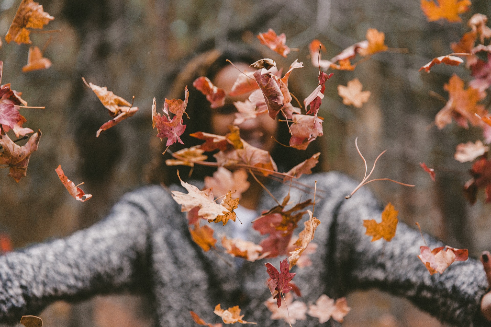 Bien vivre l’automne