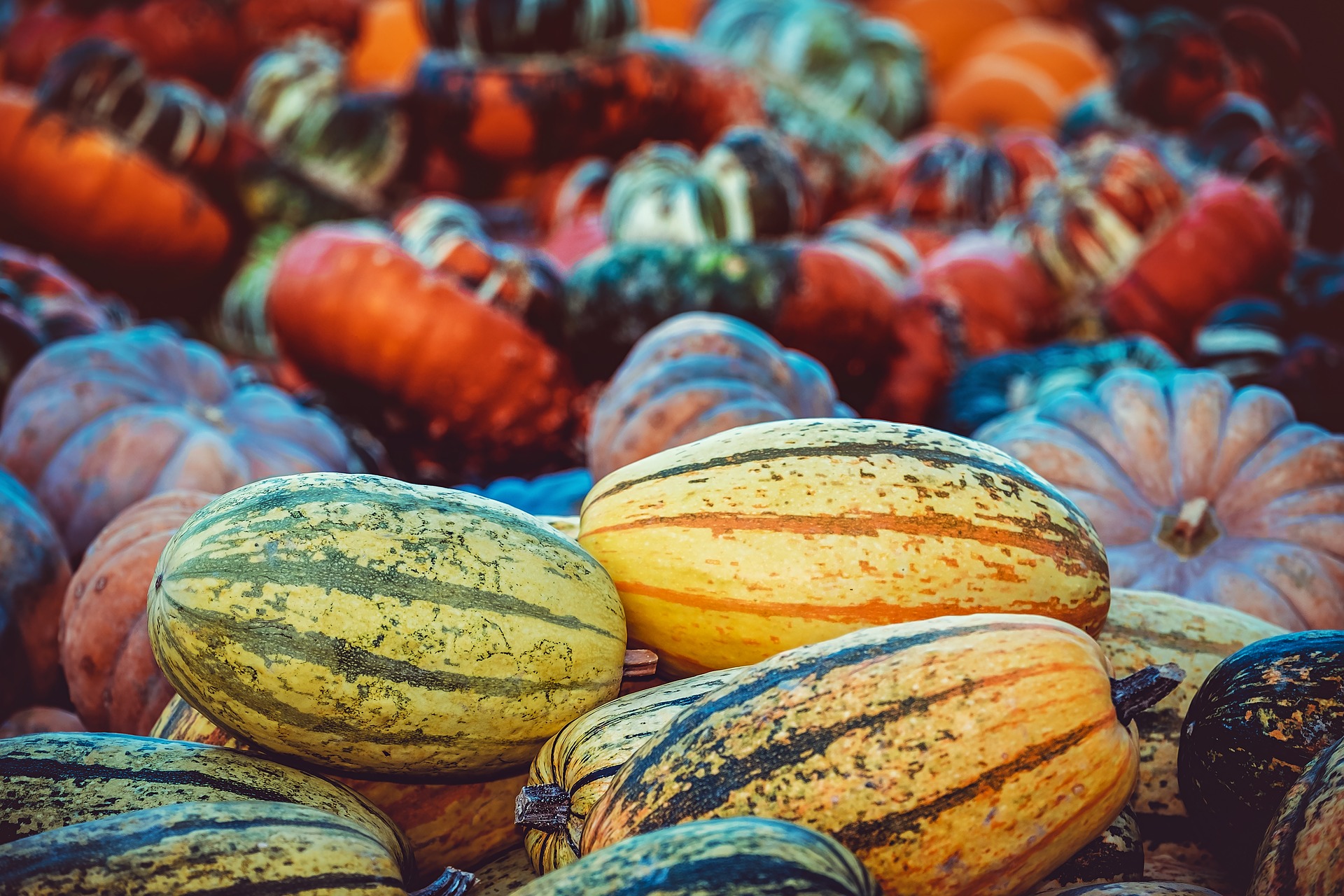 Bien vivre l’automne