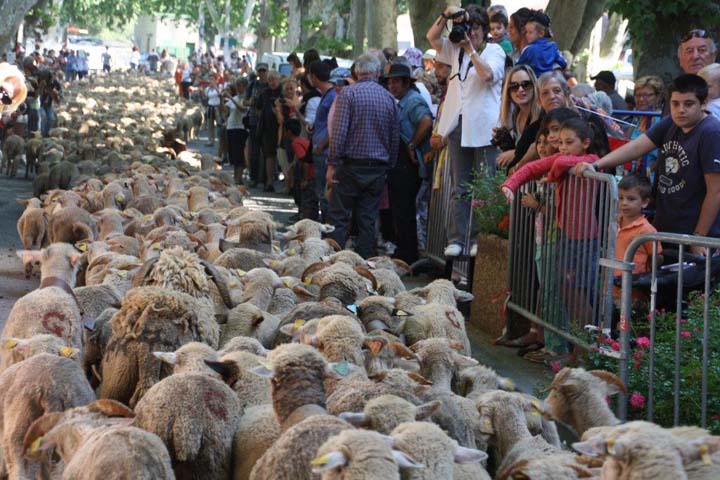 [VINON] Fête de la Transhumance 2019
