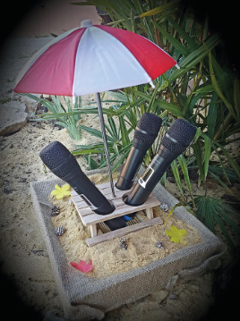  CONCEPT UNIQUE DANS LE DEPARTEMENT : BEACH BOX KARAOKe chantez les pieds dans le sable  !