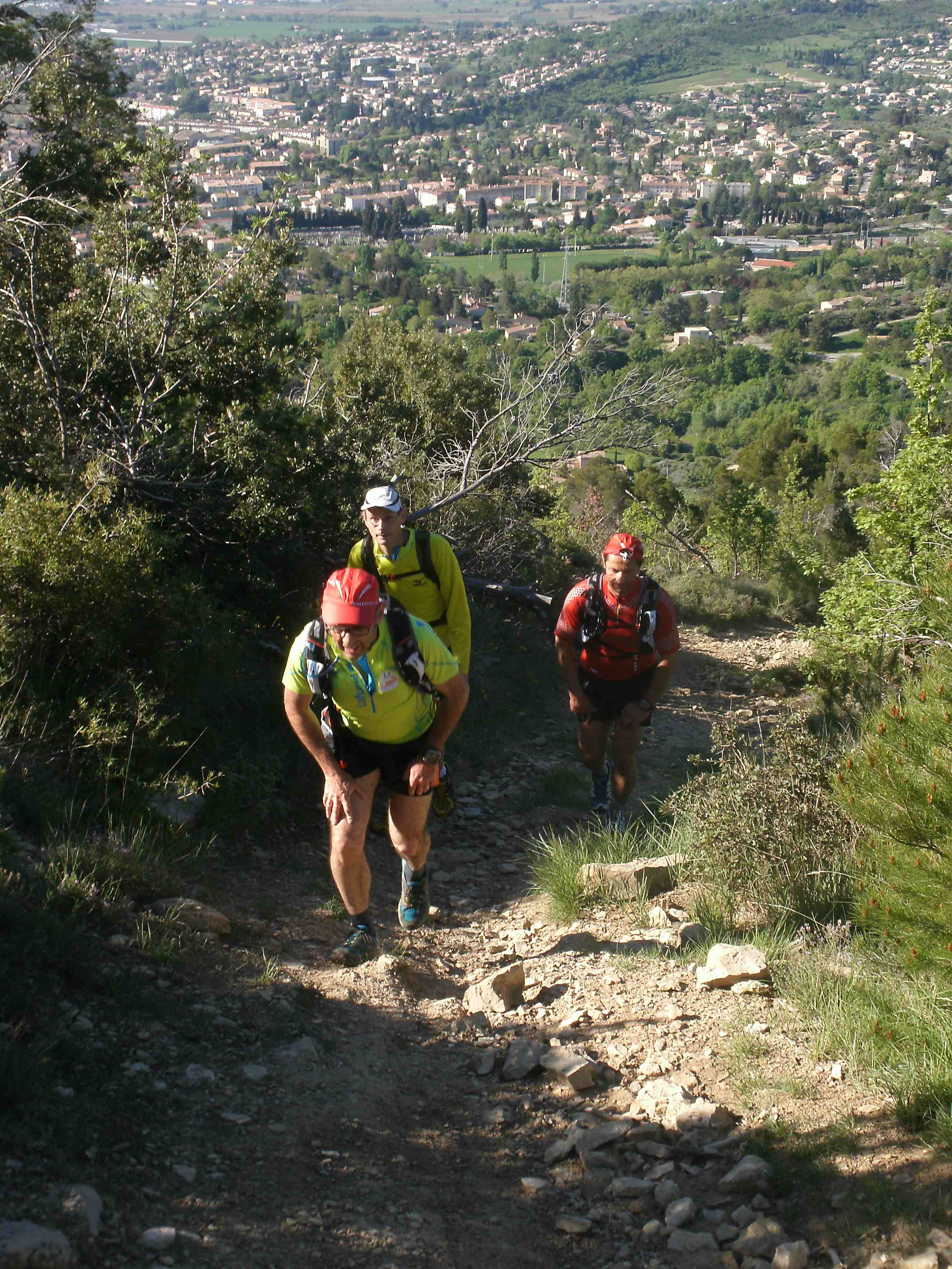 Trail des Collines de Giono