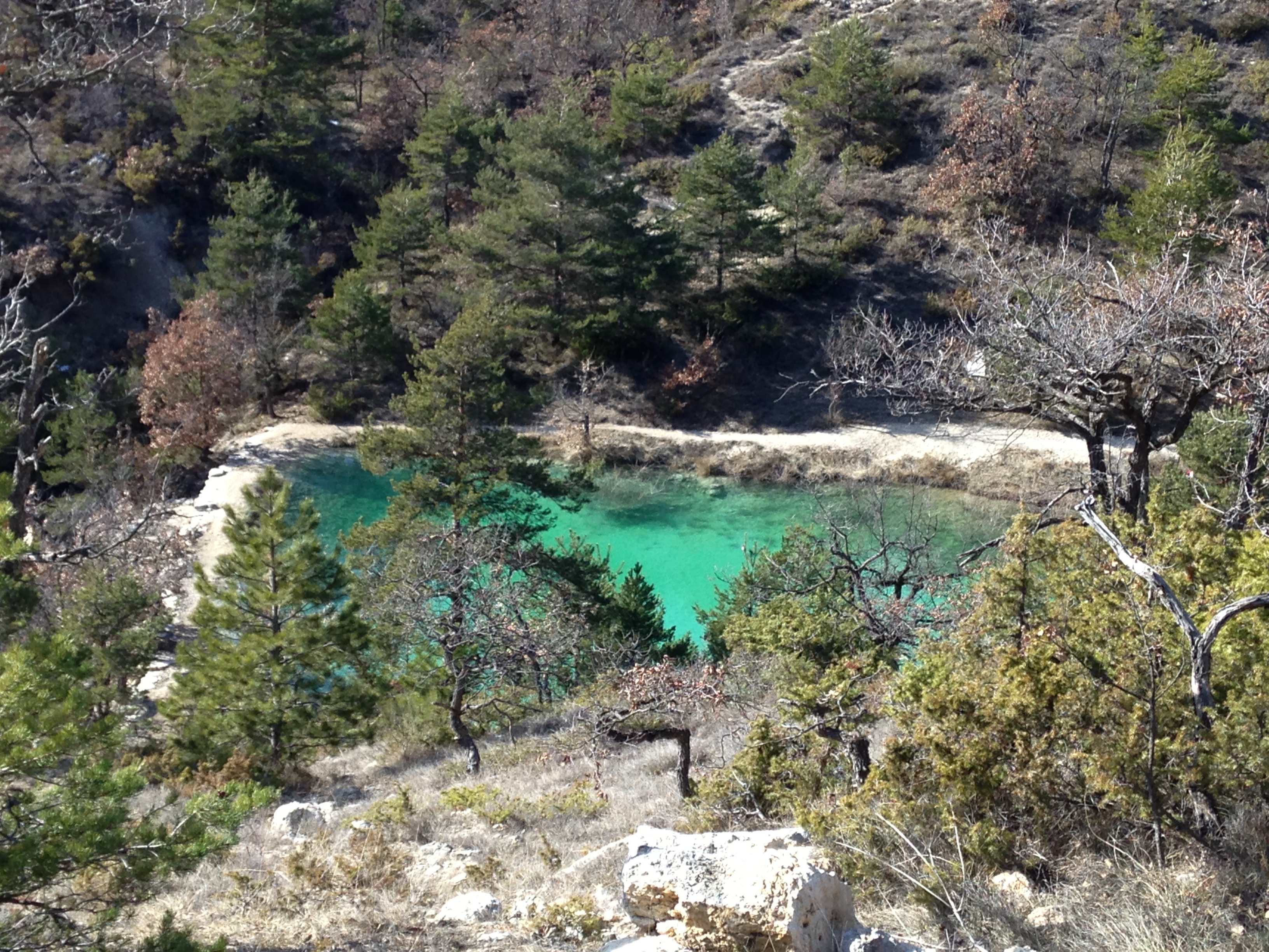 TRAIL DE HAUTE PROVENCE