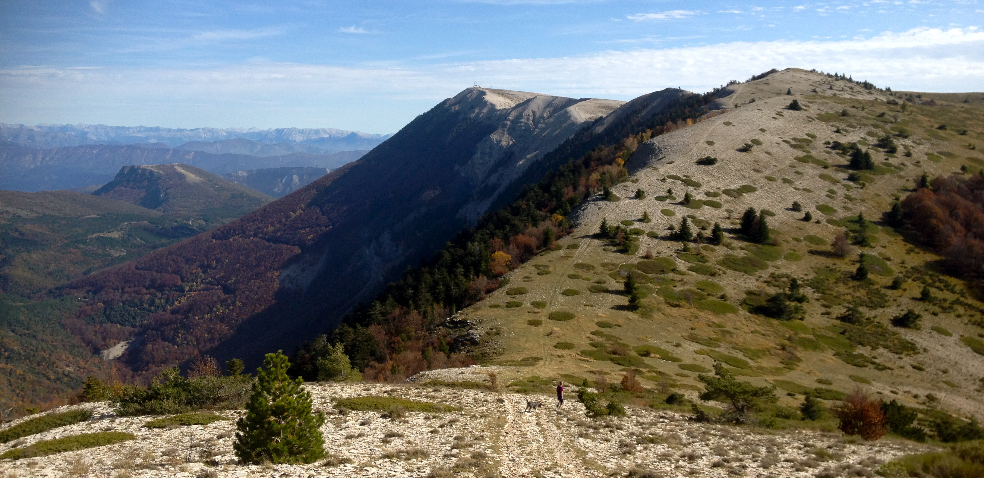 TRAIL DE HAUTE PROVENCE