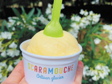 Profitez de l’été pour découvrir les glaces de chez Scaramouche, artisan glacier ! 🍦