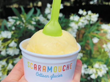 Profitez de l’été pour découvrir les glaces de chez Scaramouche, artisan glacier ! 🍦 Profitez de l’été pour découvrir les glaces de chez Scaramouche, artisan glacier ! 🍦