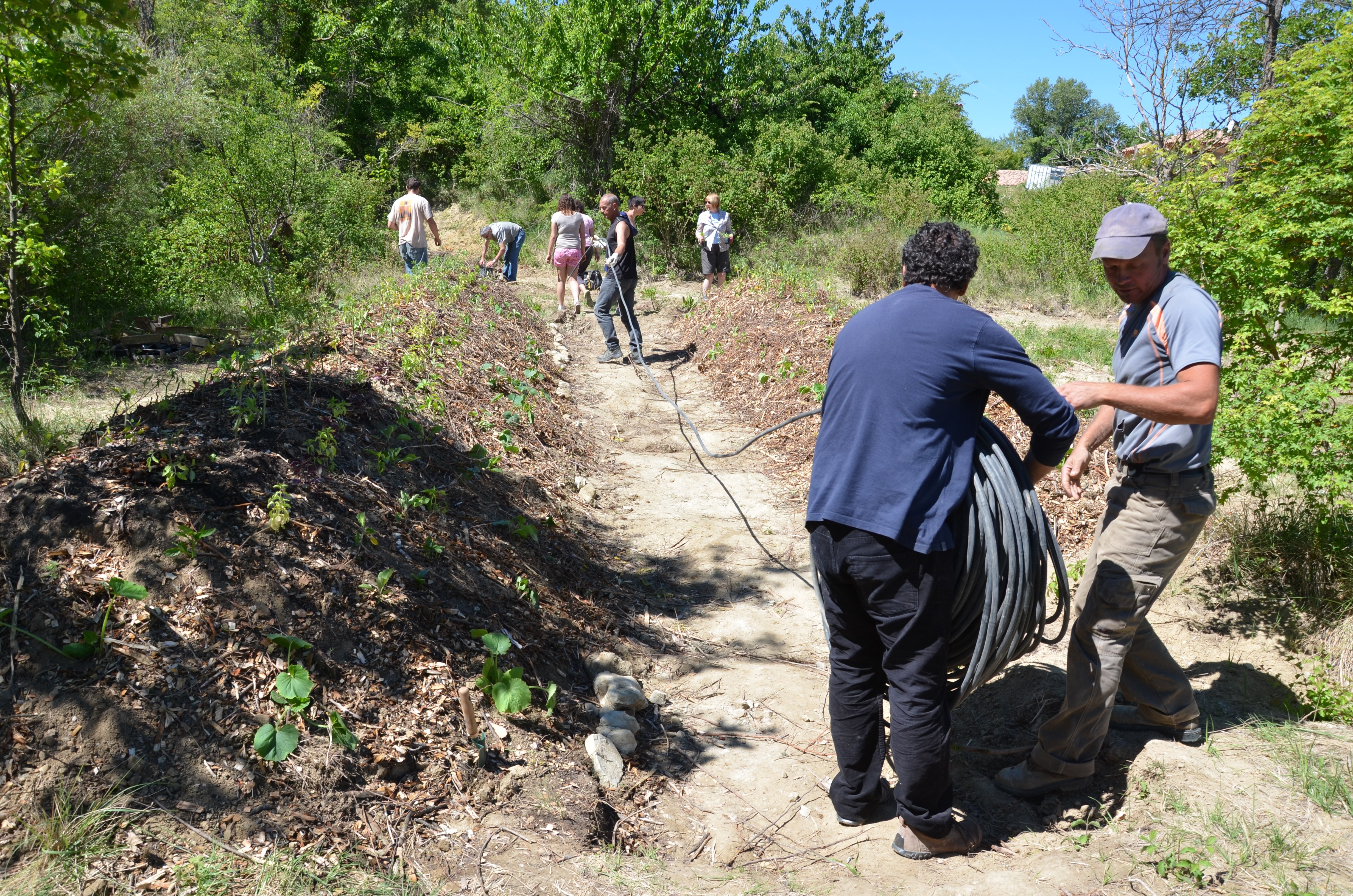 Le Cabanon, jardin solidaire