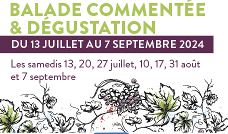 De la Vigne au Verre, balade commentée et dégustation du 13 juillet au 7 septembre De la Vigne au Verre, balade commentée et dégustation du 13 juillet au 7 septembre